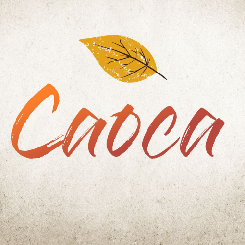 /apidata/imgcache/6a836d46691829fbf7faee99f9102131.png?banner=col4&when=1771186826&who=257