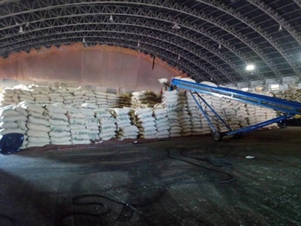 Indícios de Distorção no Uso do Regime de Drawback: Uma Análise da Cadeia de Cacau e Chocolate no Brasil (2022–2025)